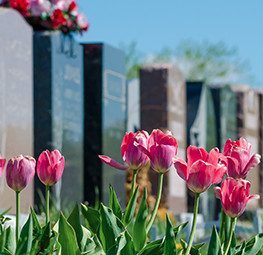 flowerscemetery